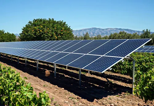 ENERVIVO-Photovoltaique-petit-sol