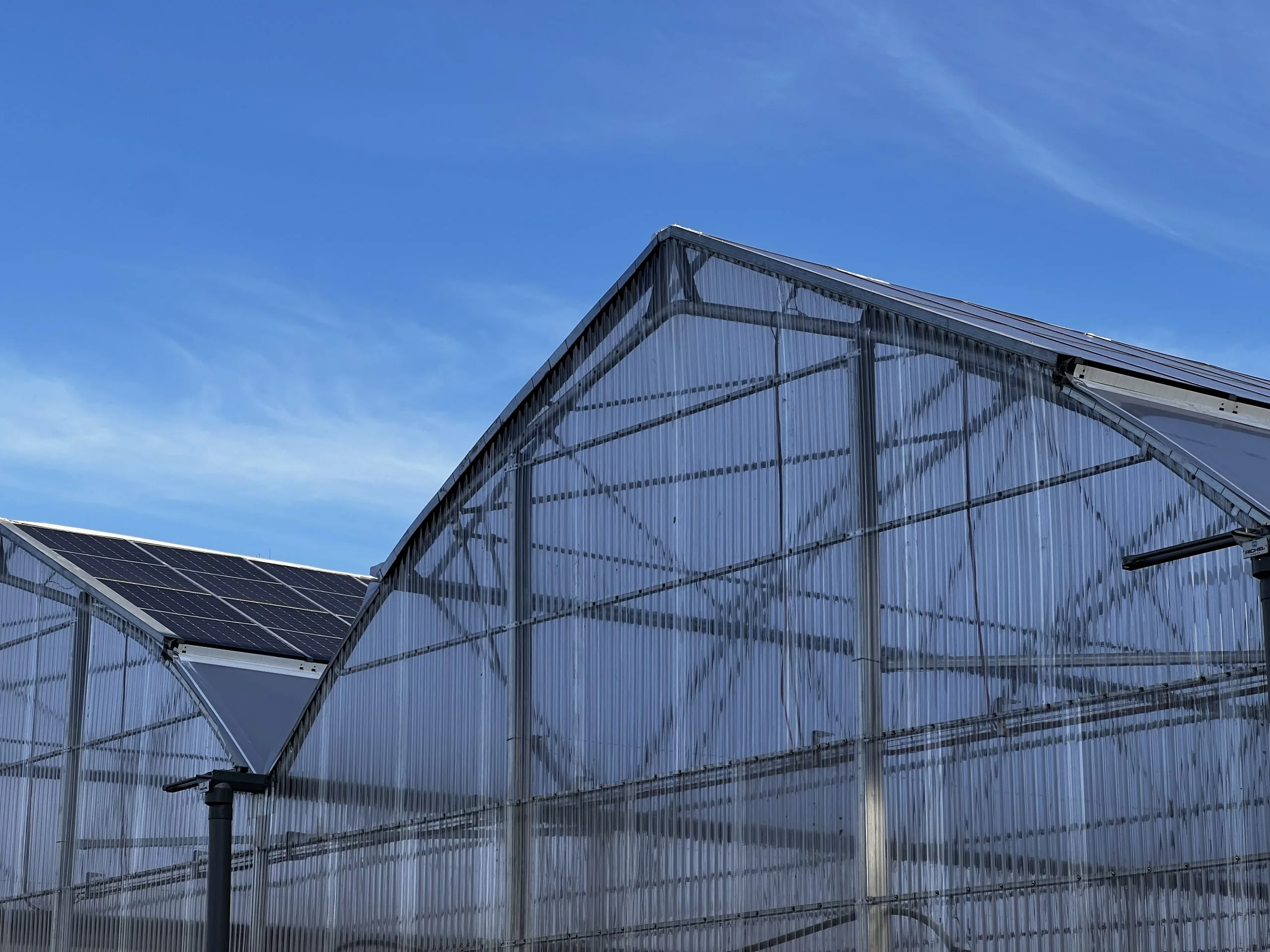 Extérieur de la serre agrivoltaïque ENERVIVO E-limentaires avec panneaux solaires intégrés