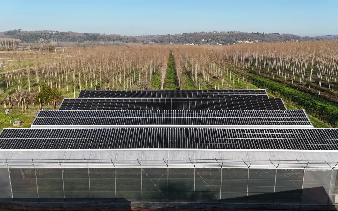 Serre photovoltaïque(Baurech – Gironde 33)