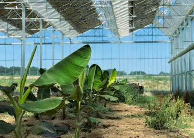 Serre agrivoltaïque(Bergerac – Dordogne 24)