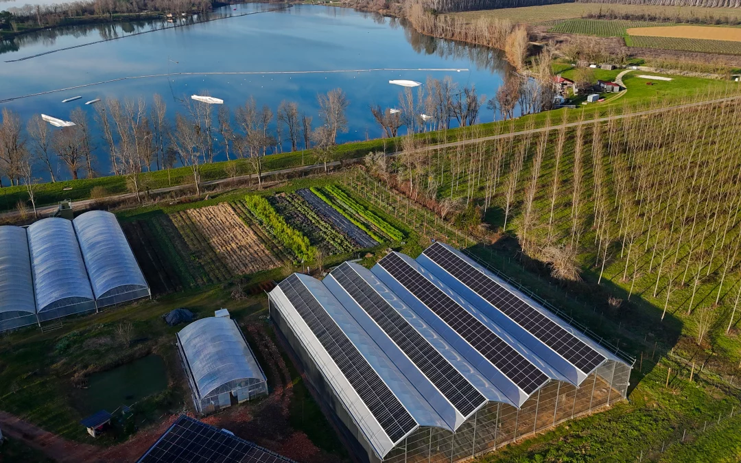 Serre photovoltaïque(Baurech – Gironde 33)
