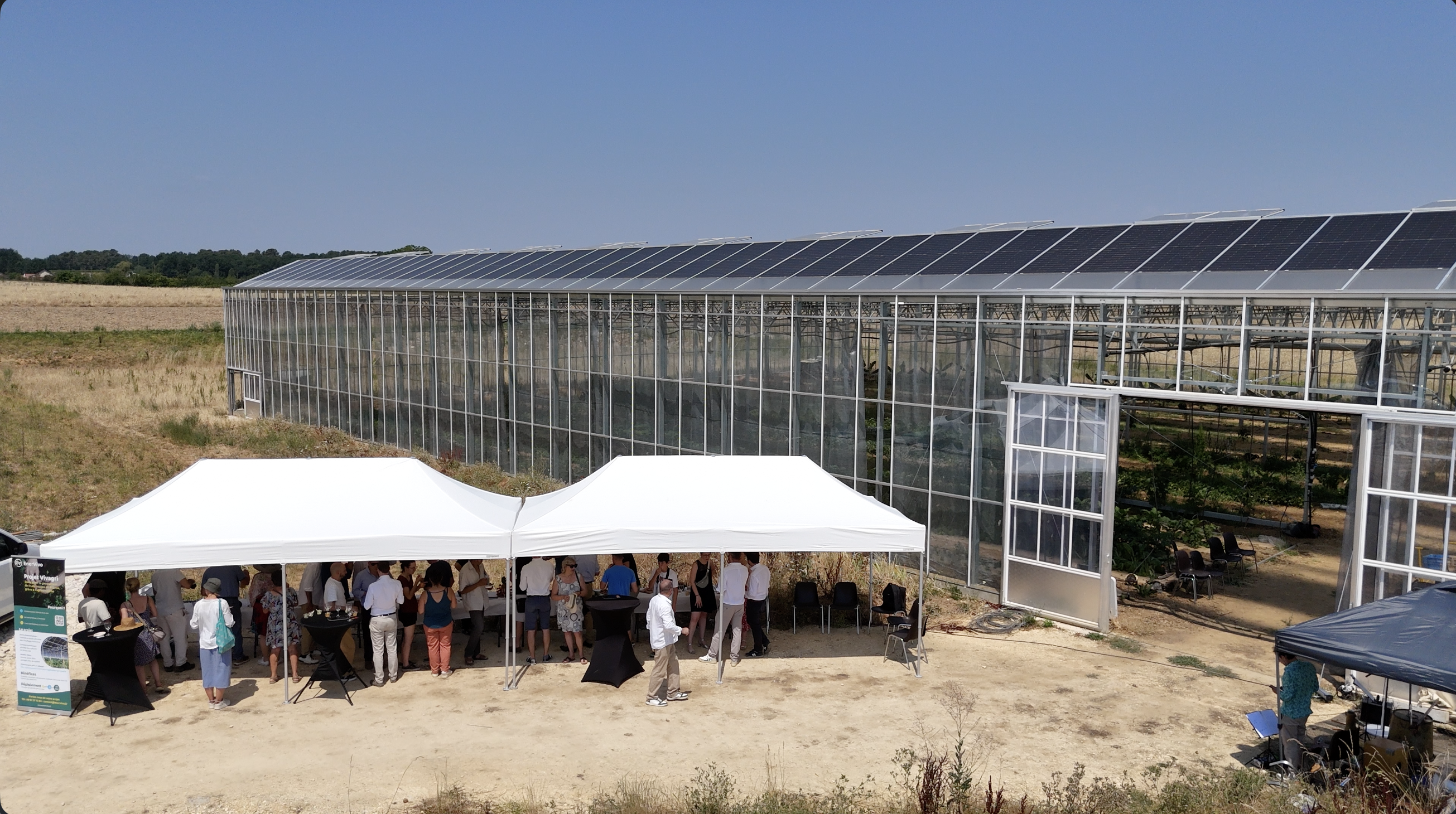 Intérieur de la serre agrivoltaïque ENERVIVO E-limentaires avec cultures en rangées sous structure métallique