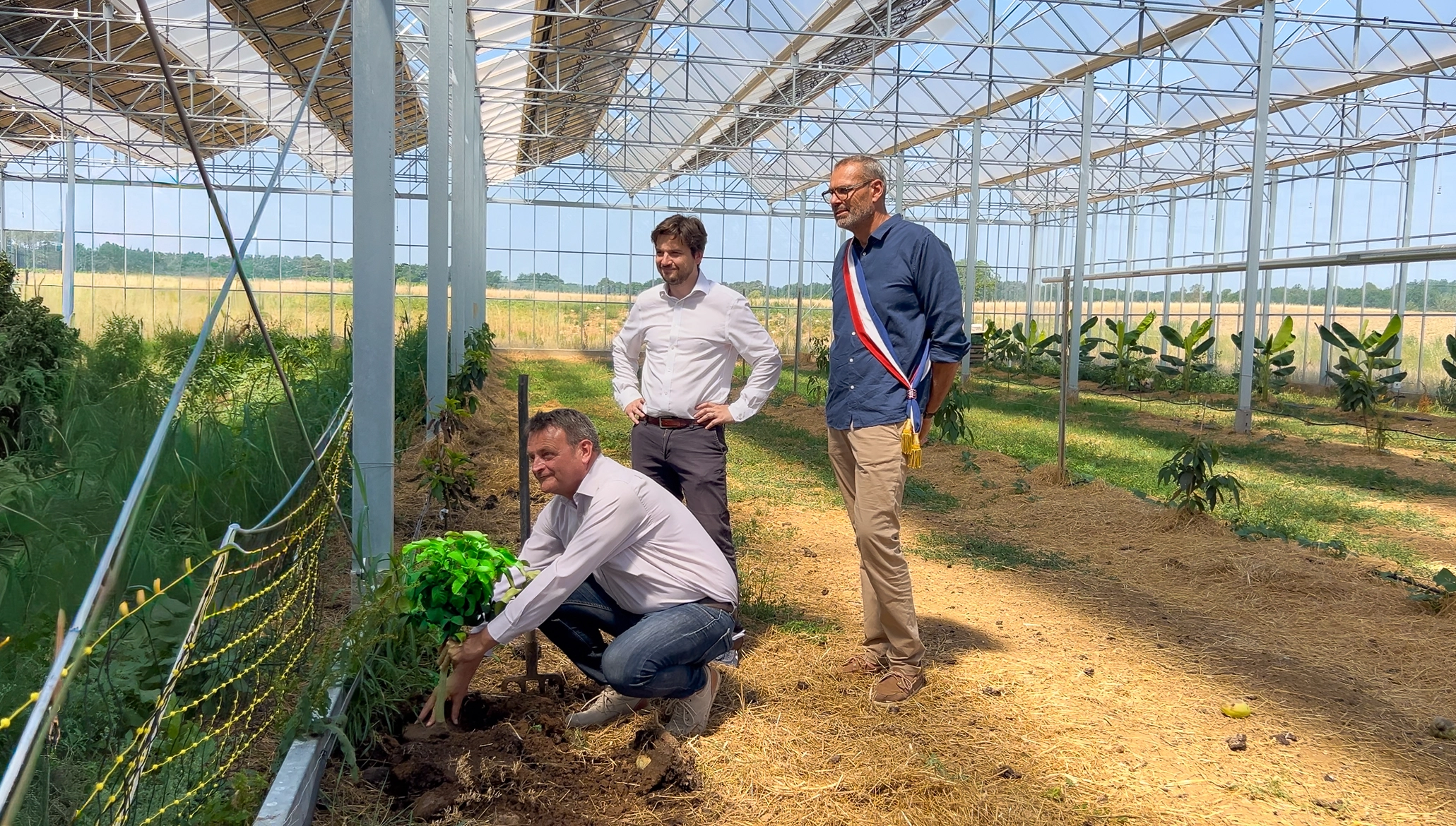 Extérieur de la serre agrivoltaïque ENERVIVO E-limentaires avec panneaux solaires intégrés
