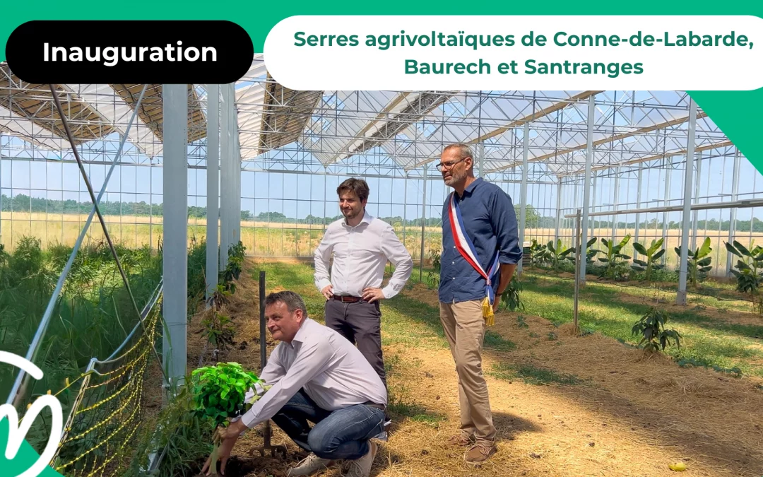Inauguration de trois serres agrivoltaïques EnerVivo : produire localement, valoriser l’énergie renouvelable